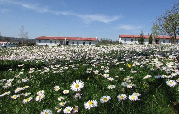 2021 04 06 Kinderdorf Wiese